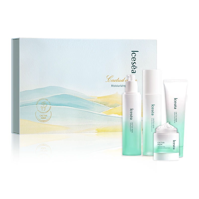 Custom Succulent Gift Box - Unique Cactu