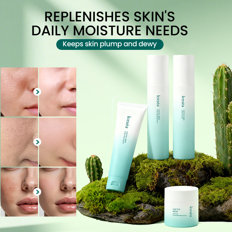 Custom Succulent Gift Box - Unique Cactus Arrangement for Home & Office Decor(pic1)