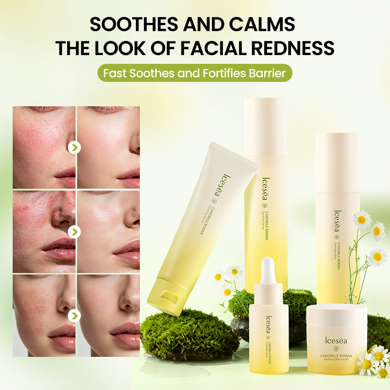 Premium Custom Chamomile Gift Box | Natural Relaxation & Sleep Aid | Private Label & Logo Customization(pic1)