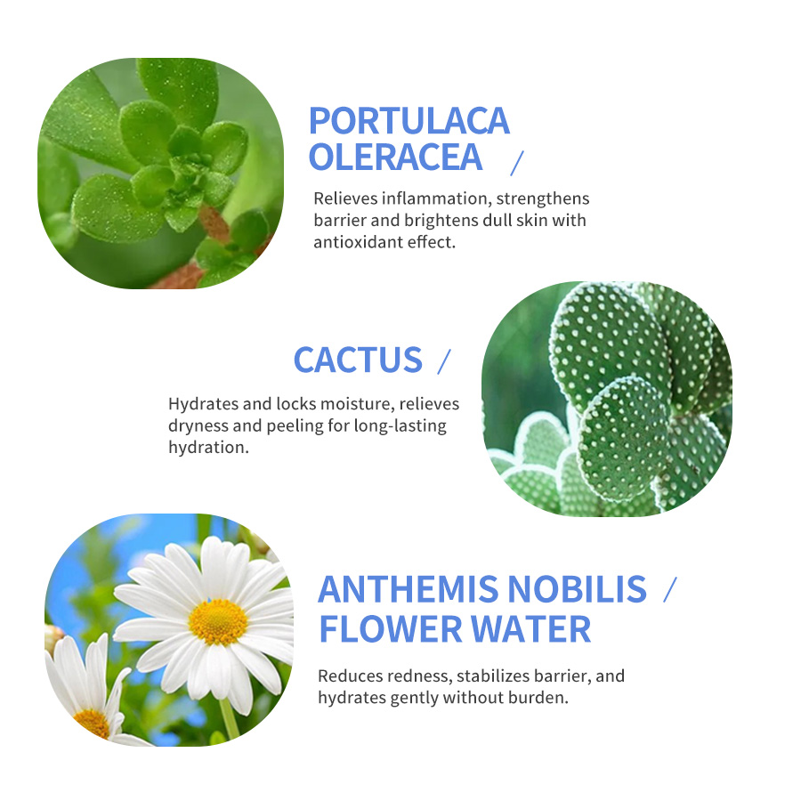 GreenLem Moisturizing Face Wholesale Private Labels Sheet Form Oil Control and Acne Removal Facial(pic4)