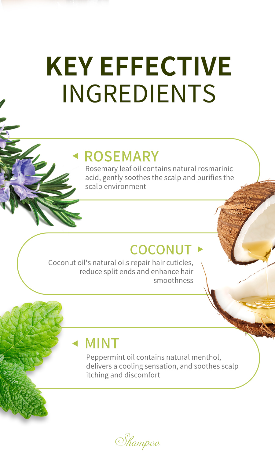 Icesea Rosemary Mint Shampoo - Dandruff Control and Oil Control(pic4)