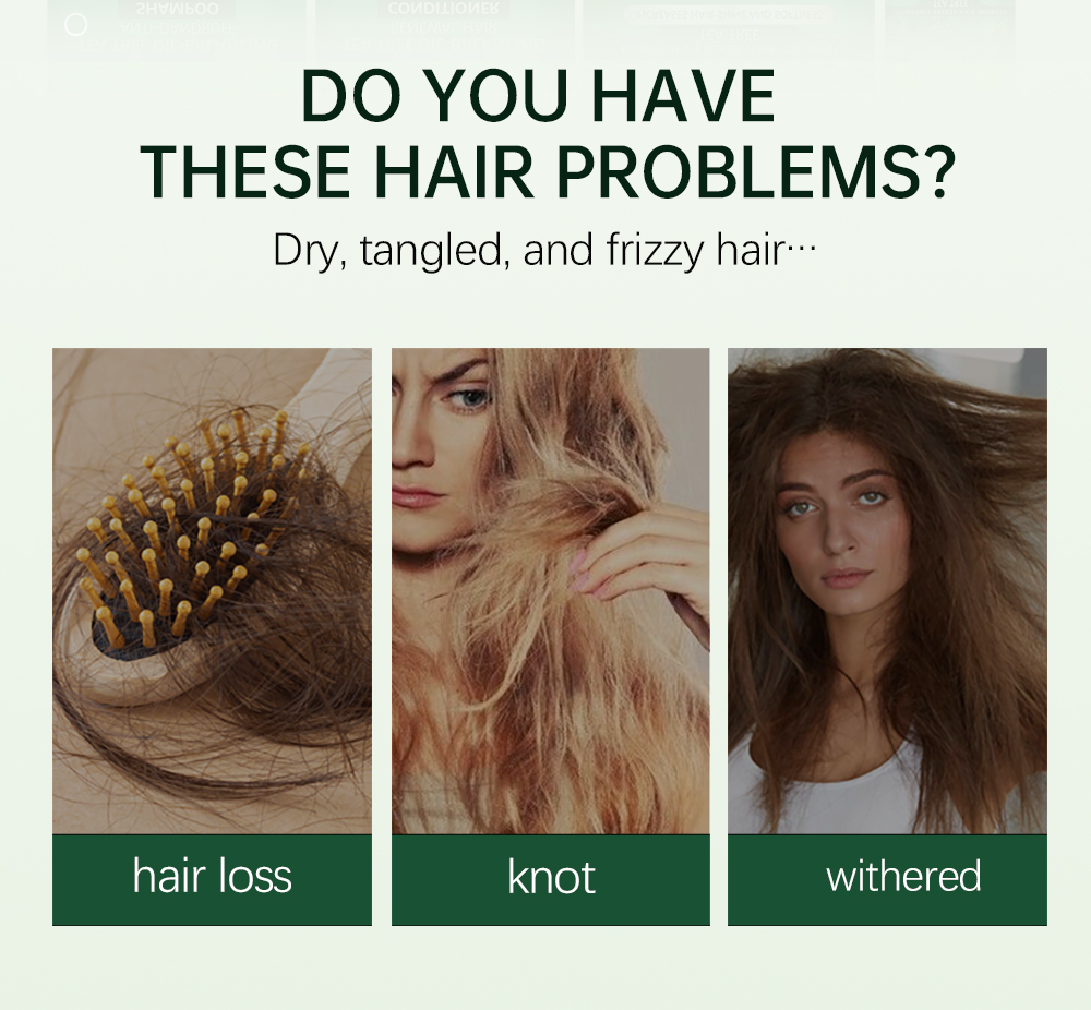 Lcesea Tea Tree Oil Control Series: Repair Damaged Hair, Remove Dandruff, and Control Oil(pic2)