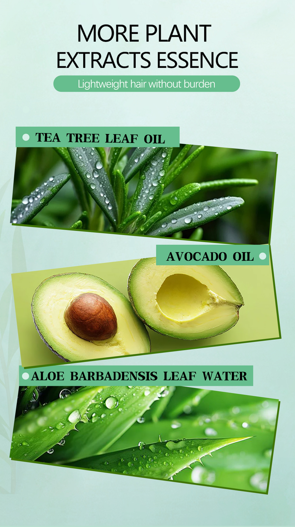 Icesea Tea Tree Oil Control Conditioning Hair Treatment, Repairing Damaged Hair Quality(pic3)