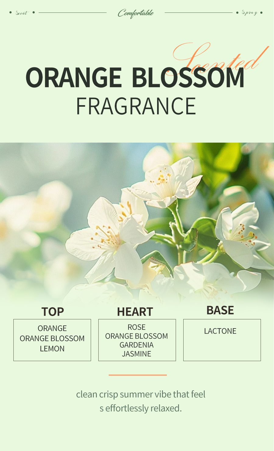 Custom Orange Body Mist, Factory Supply Light Fragrance Body Spray, Private Label Perfume OEM(pic3)