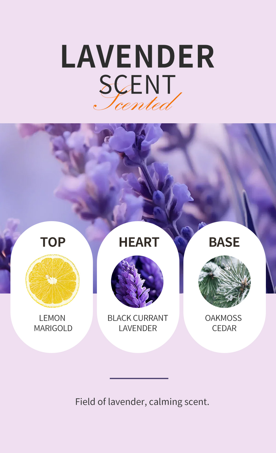 OEM Lavender Fragrance Spray Body Mist Subtle Scent Calming Soothing Long Lasting Odor Neutralizer Relaxing for Daily Use(pic3)