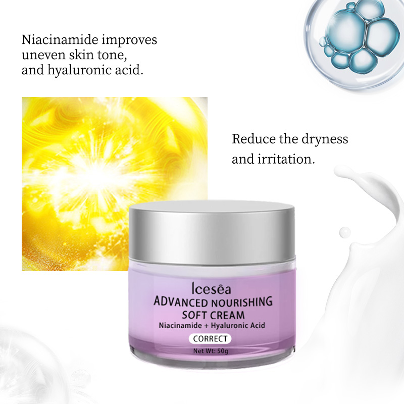 Korean Style Niacinamide Day Moisturizer with Hyaluronic Acid-Whitening & Anti-Wrinkle Formula for All Skin Types(pic4)