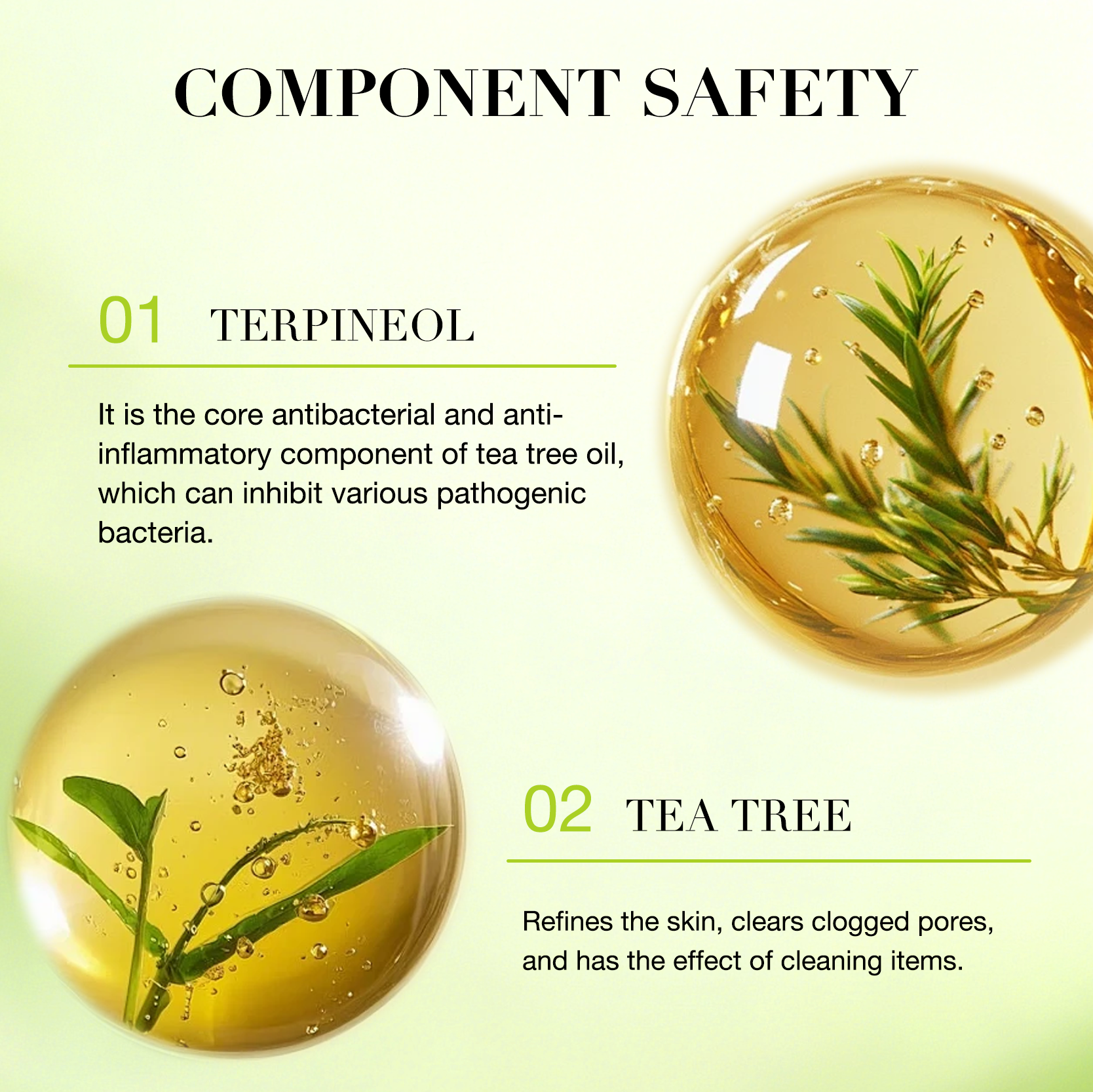 Icesea Pure Essential Oil Tea Tree 100% Pure Antibacterial OEM/ODM(pic4)