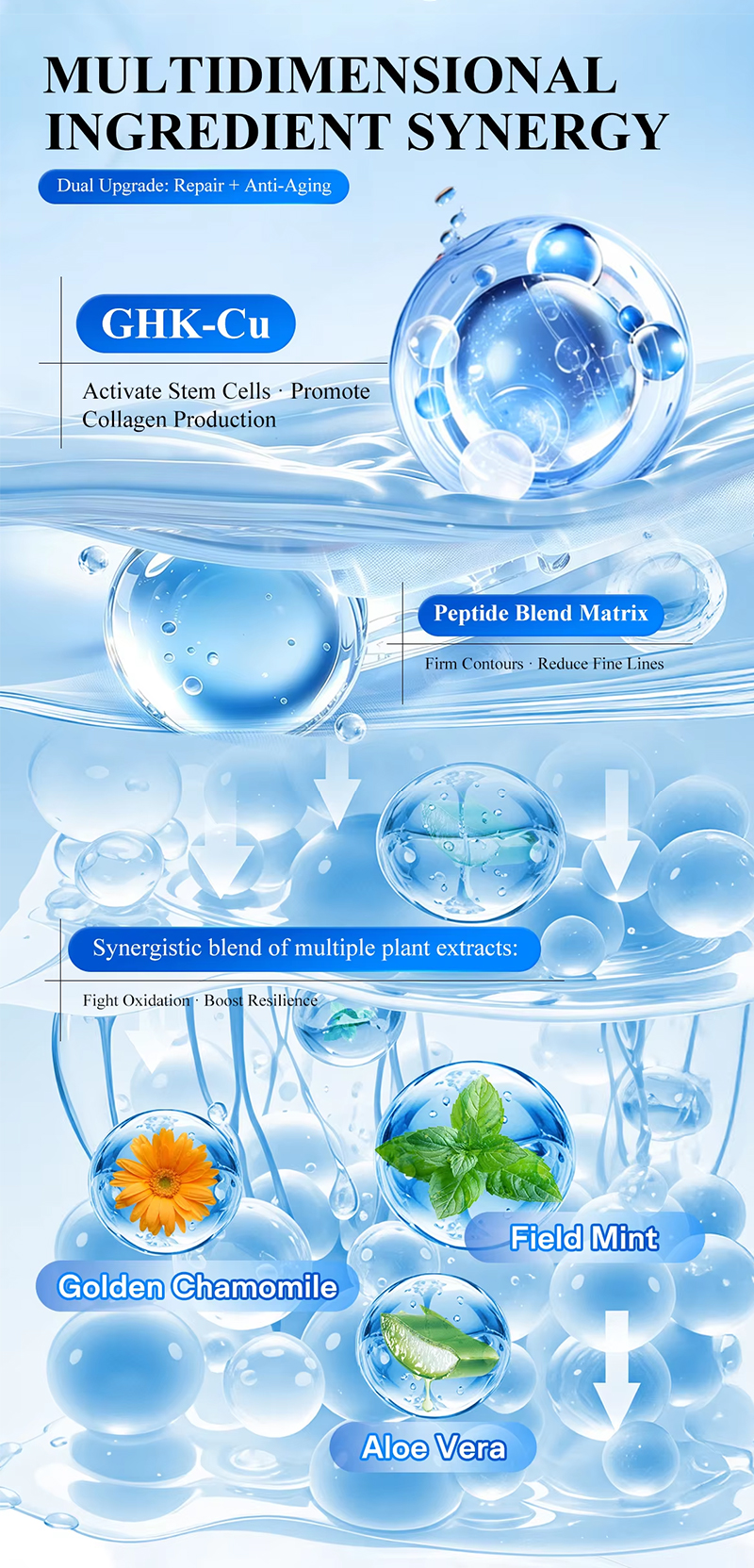 Icesea GHK-Cu Vial Peptide Serum with Stem Cell 30ml OEM Anti-Aging Pore Shrinking Moisturizing Repairing for Face(pic4)