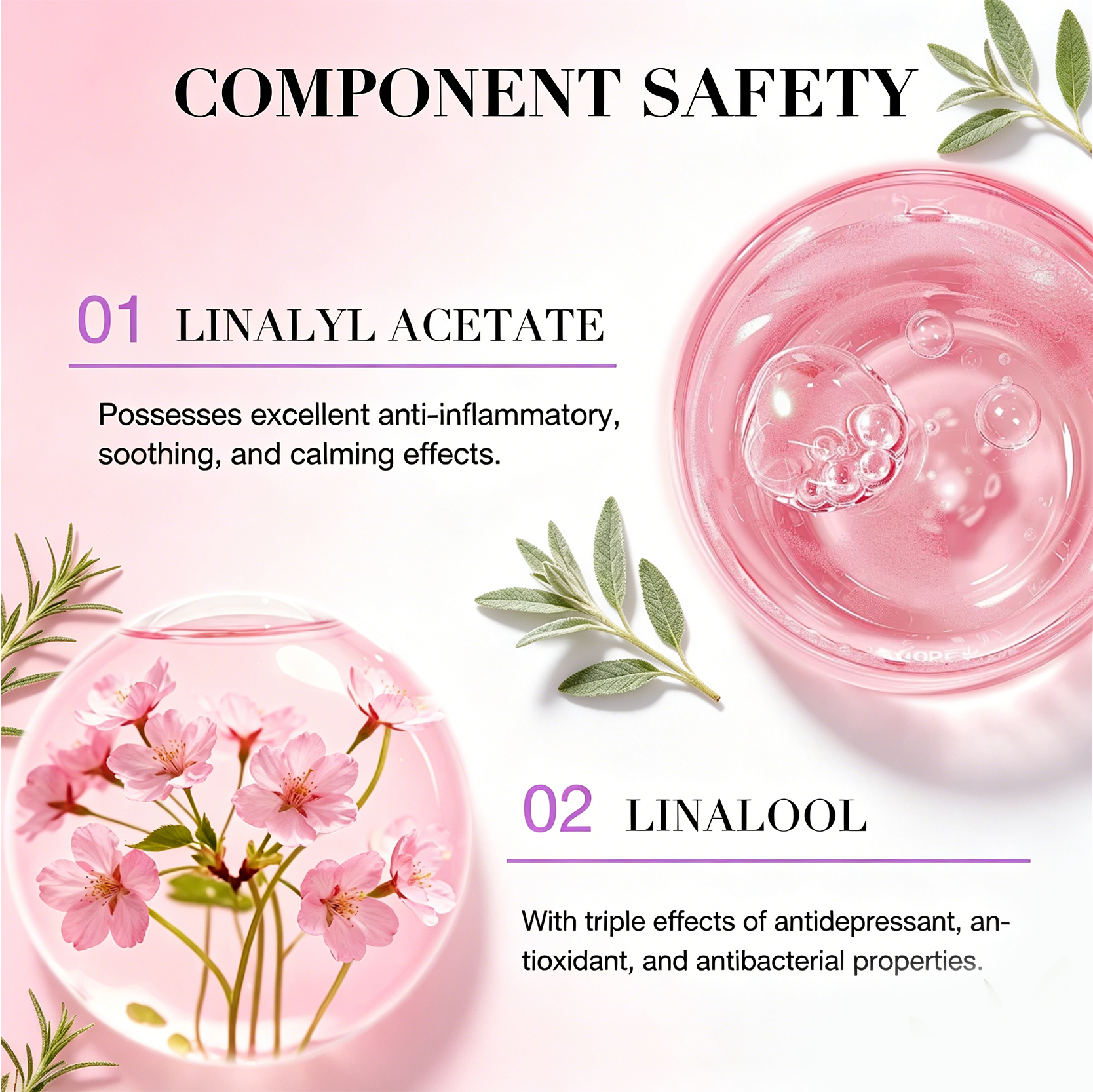 Private Label Clary Sage Aromatherapy Set for Stress Relief Relaxation 100% Pure Natural Calming Essential Oil OEM(pic4)