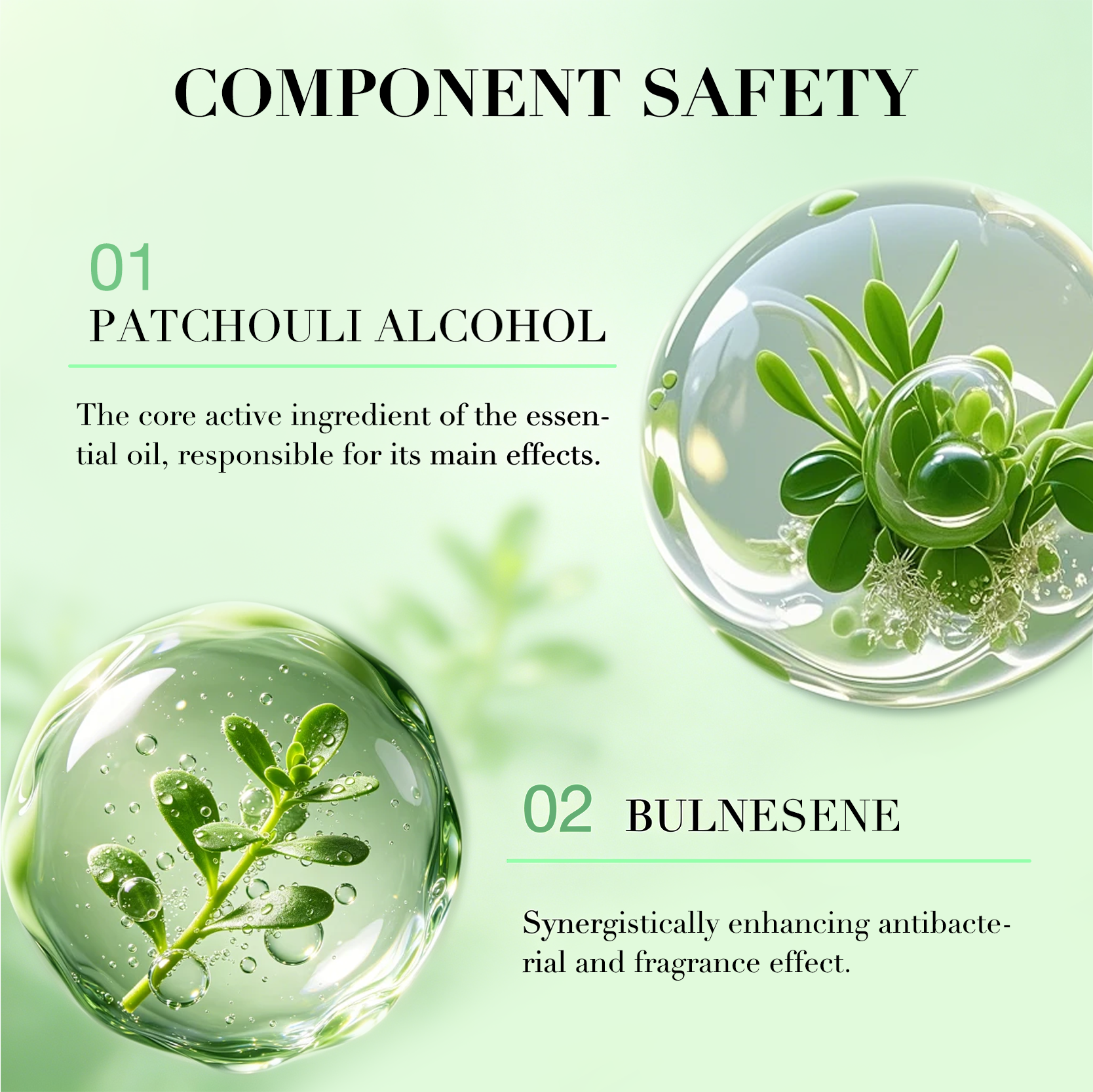 Private Label Patchouli Essential Oil 100% Pure Natural Patchouli Alcohol Bulnesene Aromatherapy Skin Care OEM(pic4)