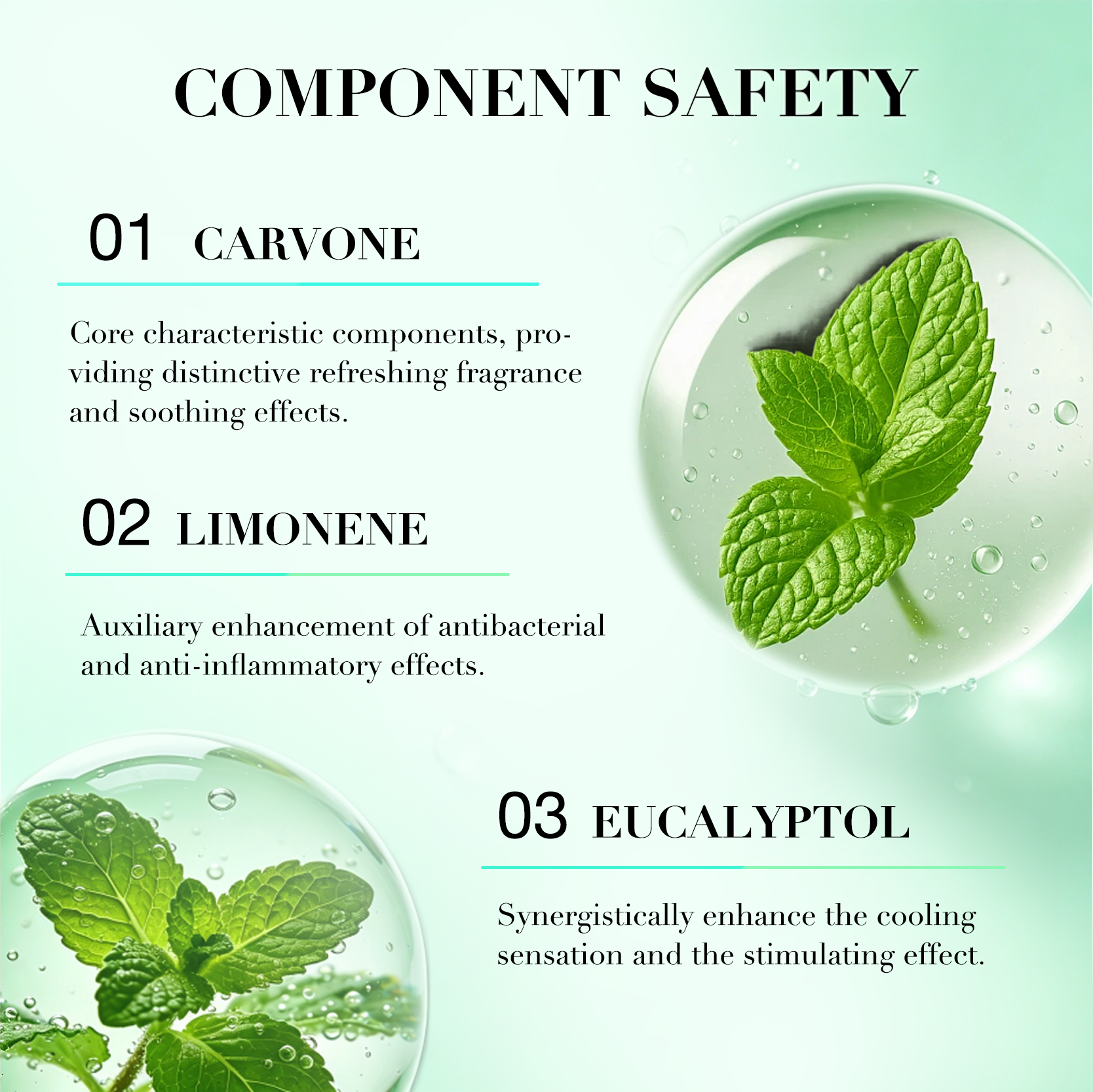 OEM ODM Pure Spearmint Essential Oil 5ml Fresh Mint Scent Calm Tense Body Improve Concentration Home(pic4)